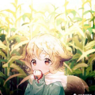 湖北荆州特大暴雨破纪录